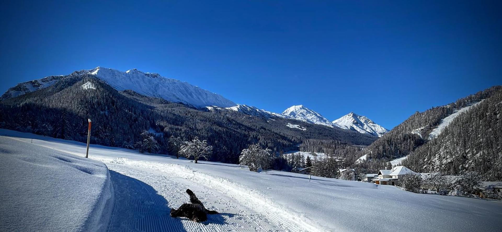 Hotel Stelvio 3*